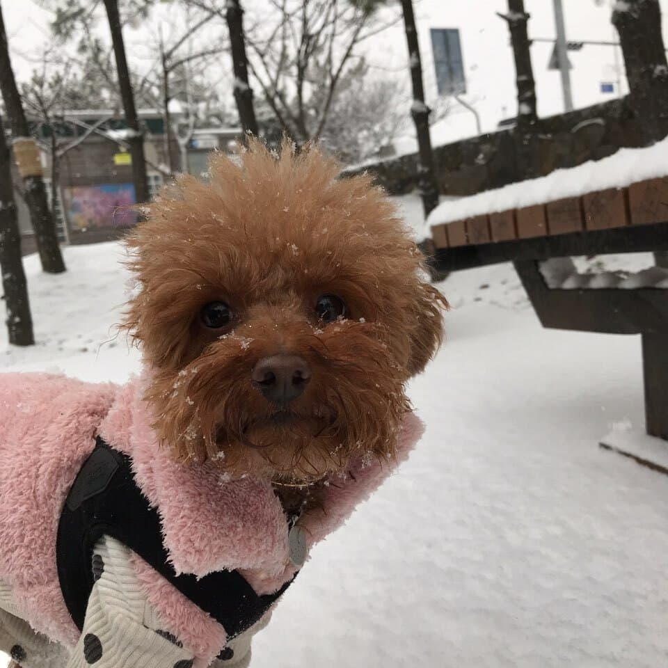 トリミング写真