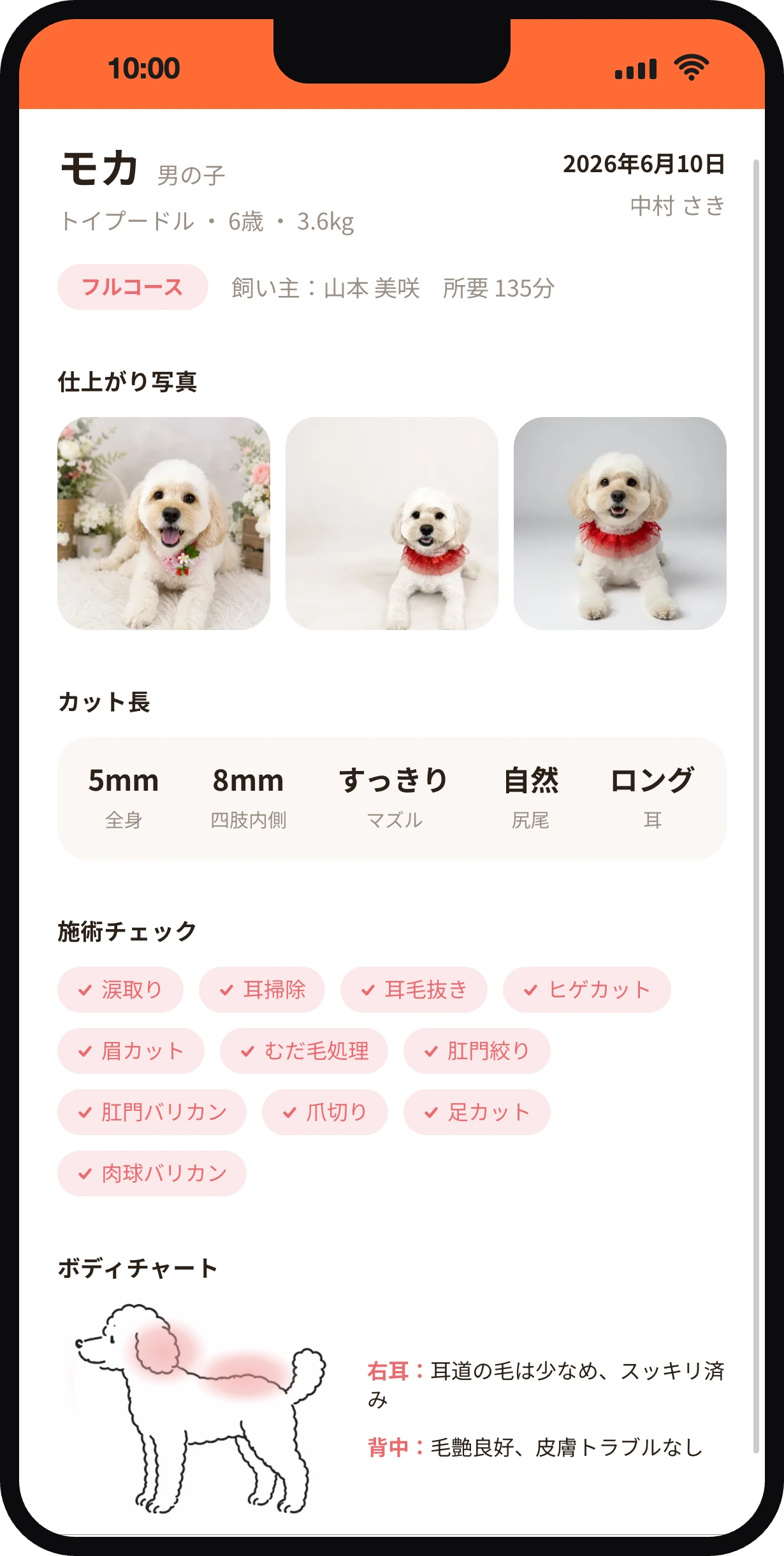 カルテ画面